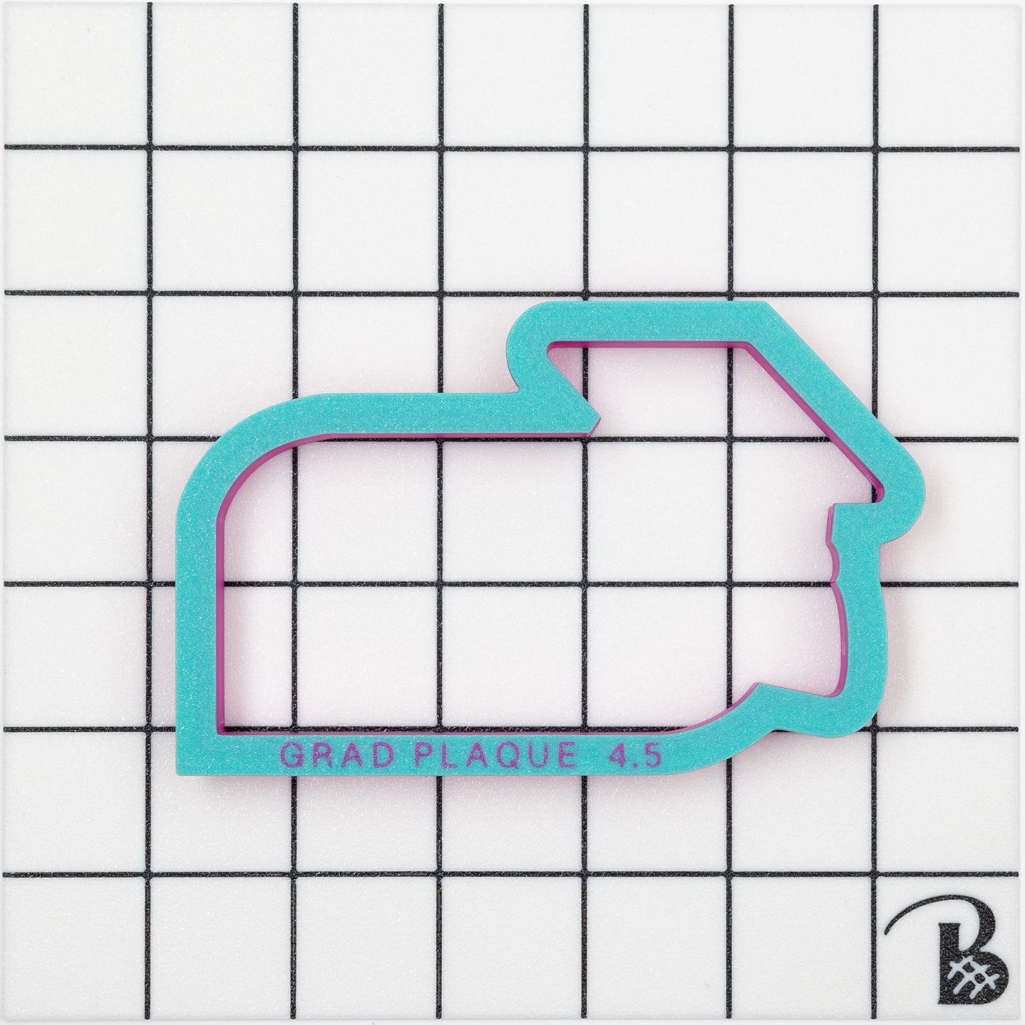 Graduate Name Plaque with Cap Cookie Cutter (recommend sizing up)