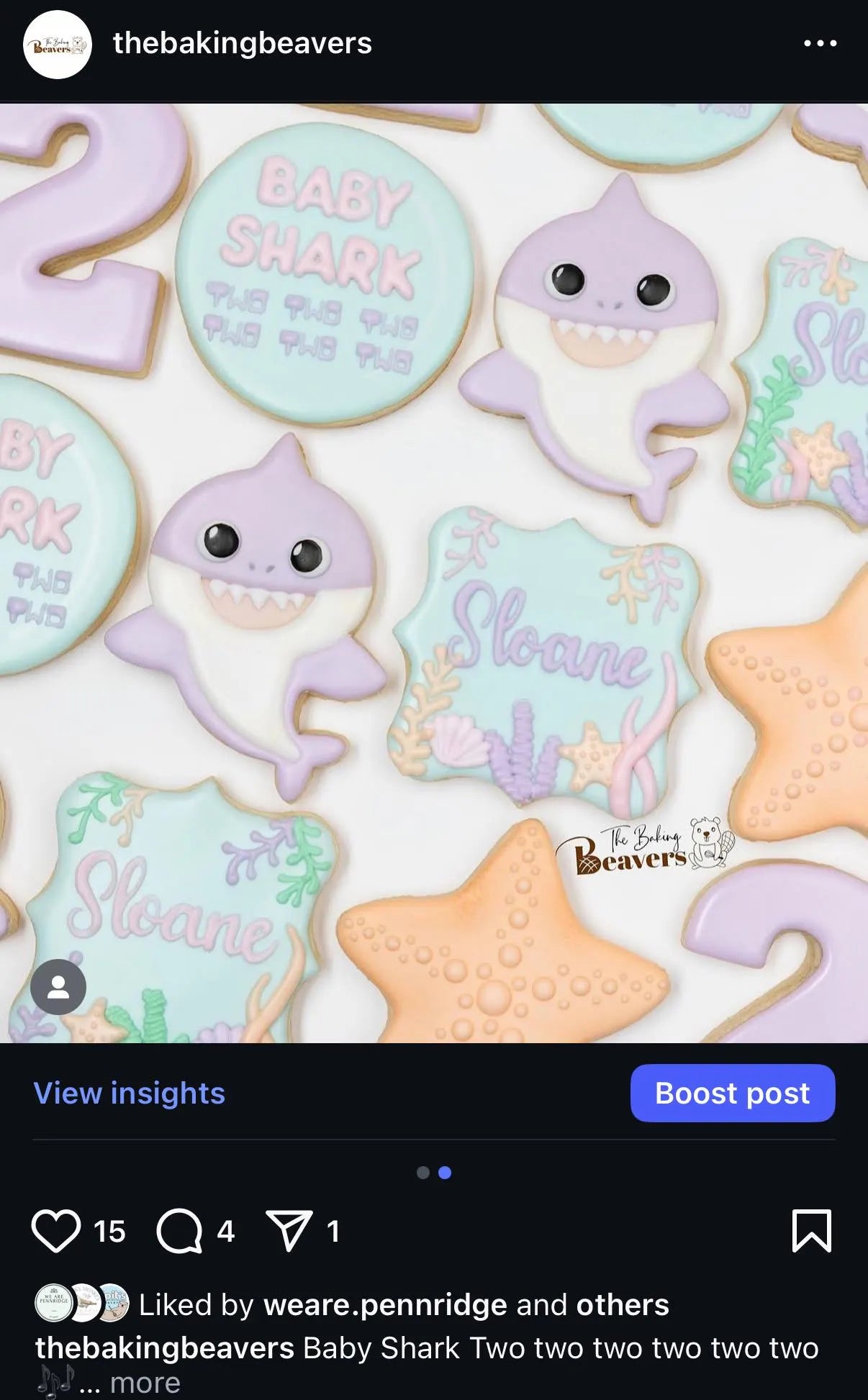 Shark Cookie Cutter