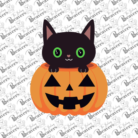 Black Cat (pointed ears) in Pumpkin Cookie Cutter